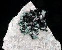 Brochantite (Mexique)