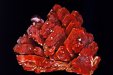 Vanadinite