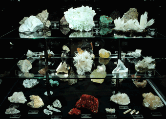 vitrine1b