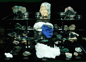 vitrine2a