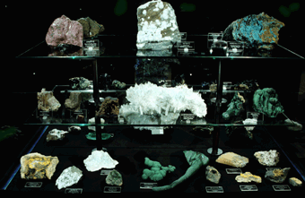 vitrine2b